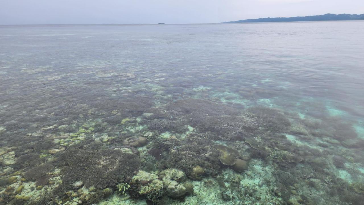 Terimakasih Homestay Pulau Mansuar Exterior photo